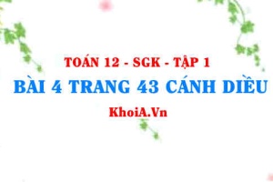 Bài 4 trang 43 Toán 12 tập 1 Cánh Diều